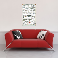 Poster - Educational - Freshwater Fish