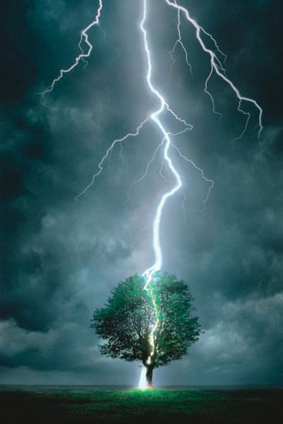 Poster - Power of Nature - Lightning Striking Tree I