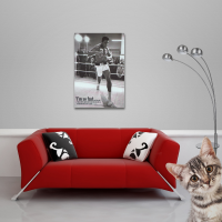 Poster - Ali, Muhammad - Training s/w