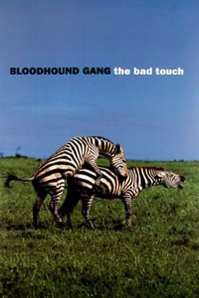 Bloodhound Gang - Poster - Zebras