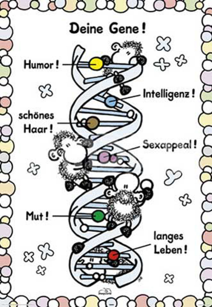 Sheepworld - Poster - Deine Gene