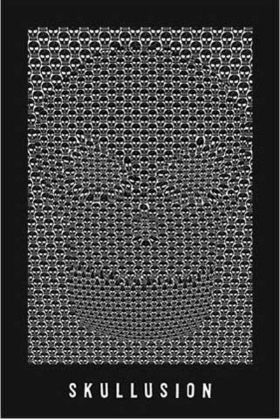 Optical Illusion - Poster - Skullusion