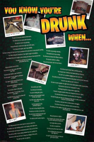 Fun - Poster - You Know Youre Drunk