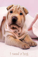 Kimberlin, Keith - Poster - Hunde, Need a Hug