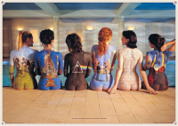 Pink Floyd - Poster - Back Catalogue Version 2