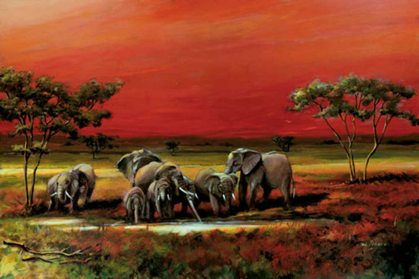 Africa - Poster - Elephants