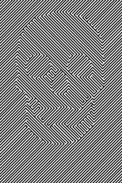 Optical Illusion - Poster - Skulls