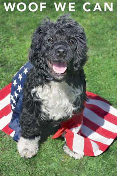 Kimberlin, Keith - Poster - waterdog