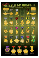 Fun - Poster - Medals of Honour