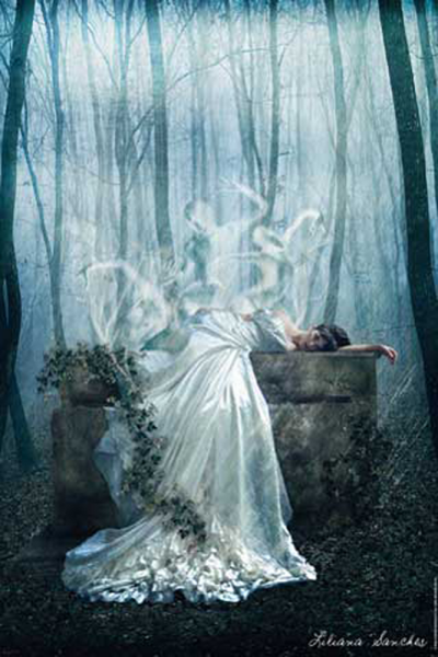 Sanches, Liliana - Poster - Her Demise