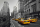 New York - Poster - Yellow Cab Taxi colourlight 5th