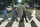 Beatles, The - Poster - Abbey Road