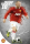 Fußball - Poster - Manchester United - Rooney 11/12