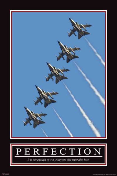 Motivational - Poster - Perfection