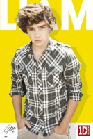 One Direction - Poster - Liam Colour