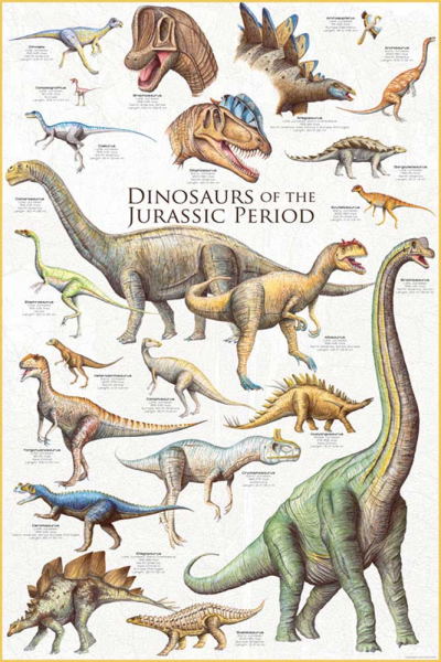 Educational - Bildung - Poster - Dinosaurs - Jurassic Period Dinosaurier