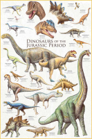 Educational - Bildung - Poster - Dinosaurs - Jurassic...