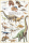 Educational - Bildung - Poster - Dinosaurs - Jurassic Period Dinosaurier