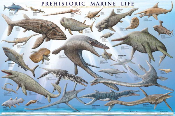 Educational - Bildung - Poster - Prehistoric Marine Life Prehistorisches Leben im Meer