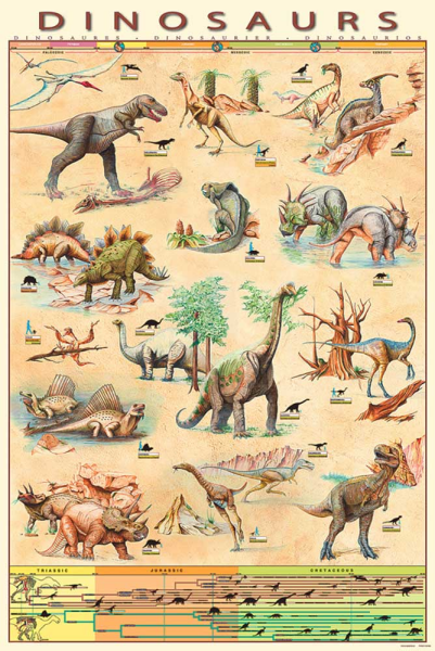 Educational - Bildung - Poster - Dinosaurs - Dinosaurier Version 5