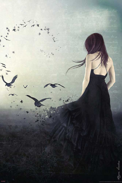 Sanches, Liliana - Poster - Amaranth