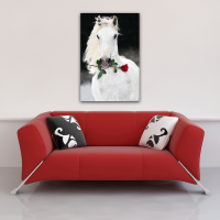 Pferde - Poster - Lipizzaner mit Rose