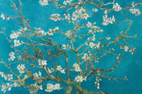 Van Gogh, Vincent - Poster - Almond Blossom San Remy 1890