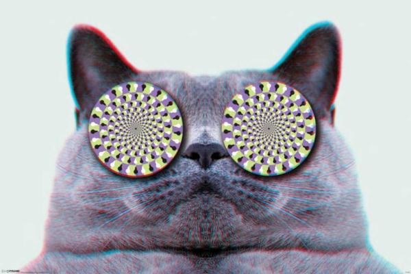 Cats - Poster - Eyes