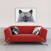 Cats - Poster - Eyes
