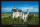 Schloss Neuschwanstein - Poster - Märchenschloss