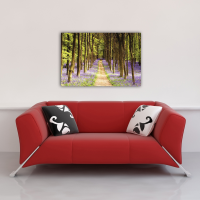 Woodland - Poster - Path