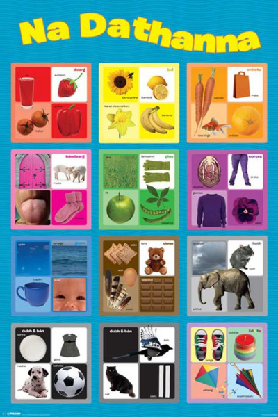 Educational - Bildung - Poster - Learn Colours ( Irish )