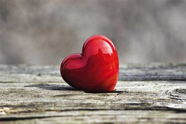 Colourlight - Poster - Heart on Wood