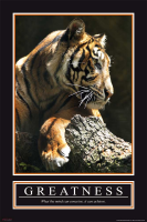 Motivational - Poster - Greatness