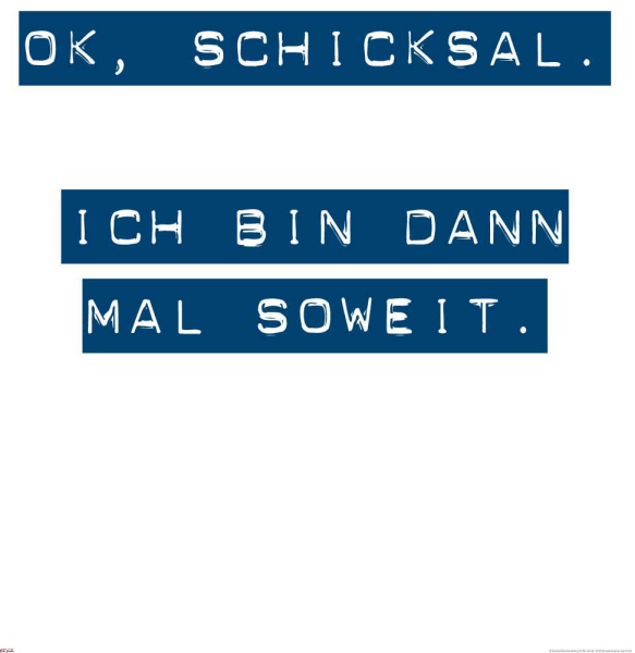 Motivational - Poster - OK Schicksal, ich bin dann soweit #4
