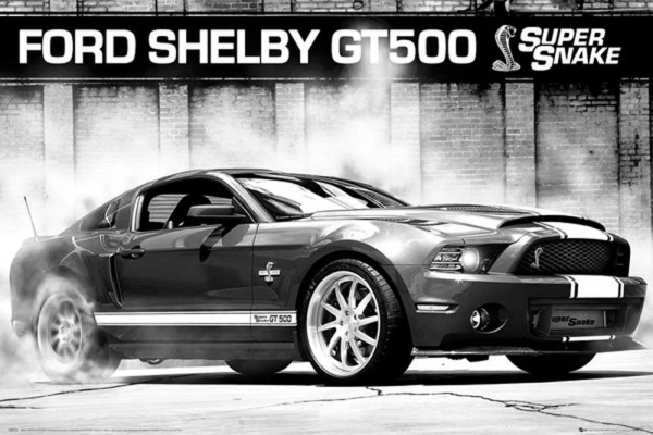 Ford - Poster - Shelby GT500 Supersnake