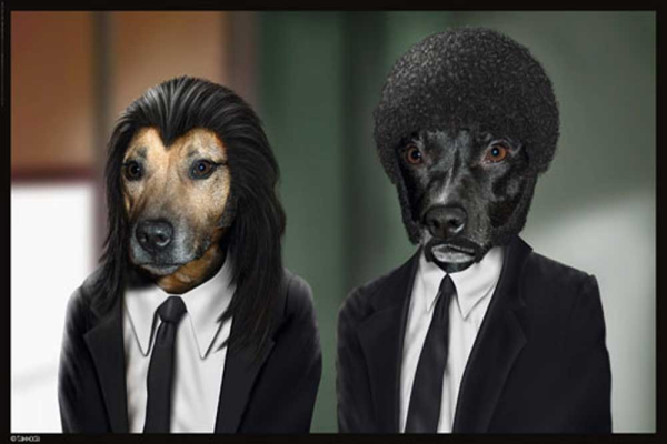 Pets Rock - Poster - Hitdogs