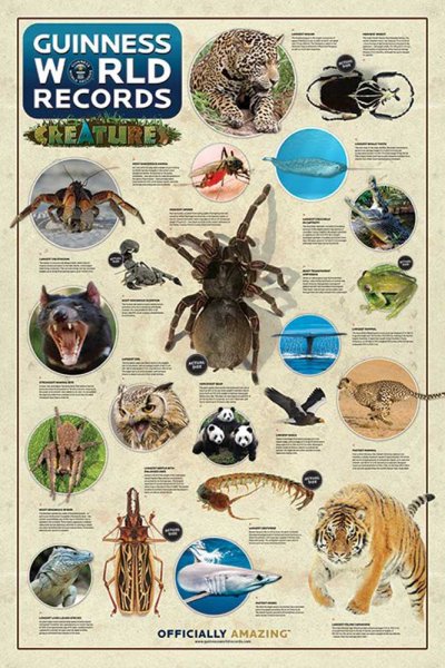 Guinness World Records - Poster - Creatures