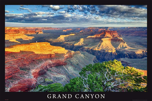 Grand Canyon - Poster - View