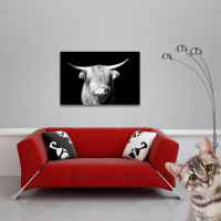 Kühe - Poster - Highland Cattle - Portrait