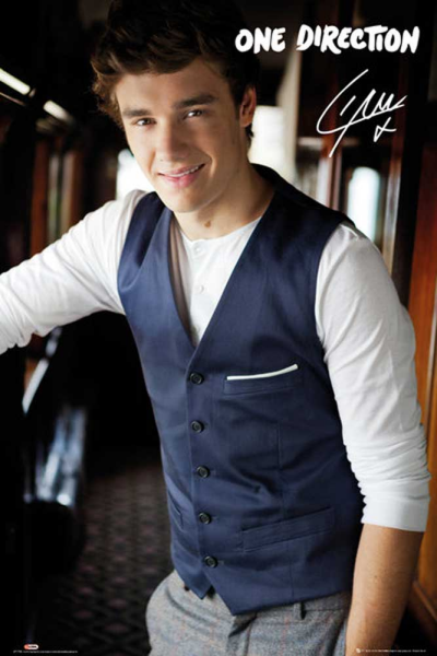 One Direction - Poster - Liam Portrait
