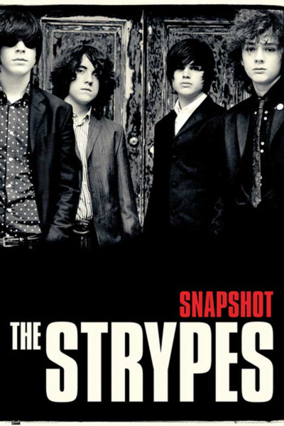 Strypes, The - Poster - Snapshot