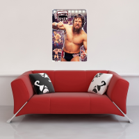 Wrestling - Poster - WWE - Daniel Bryan