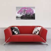 Tree - Poster - Blossom