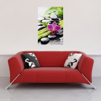 Zen - Poster - Stillleben - Orchidee