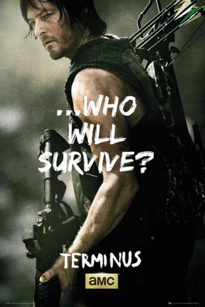 Walking Dead - Poster - Daryl Survive
