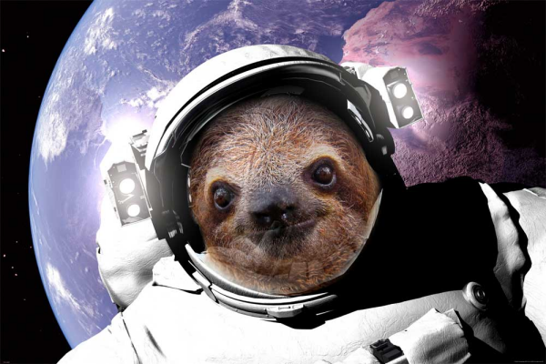 Faultier Sloth - Poster - In Space