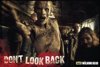 Walking Dead - Poster - Zombies