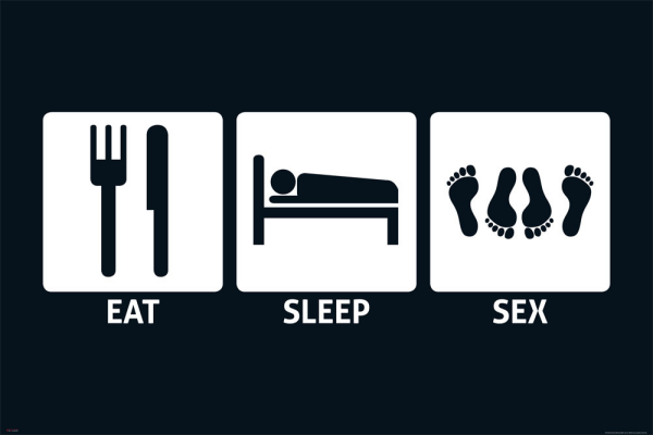Eat, Sleep - Poster - Sex