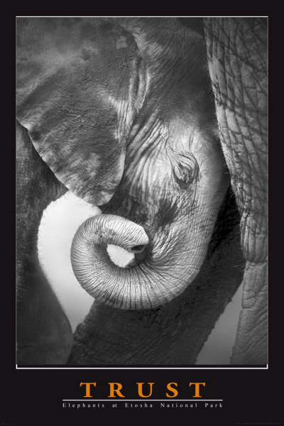 Motivational - Poster - Trust - Elephant